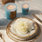 Preview: Cire Trudon, scented candle, in glass, Versailles, azurblue, special Edition, style